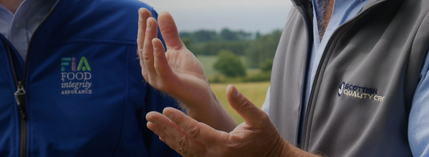 Our Mission & Strategy