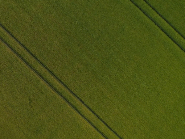 How We Set Our Standards