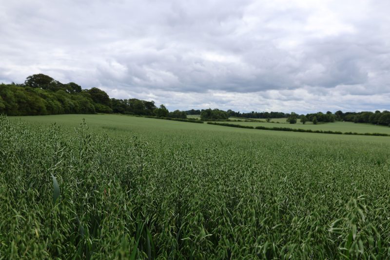 July Technical Update 2025