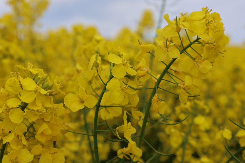 December News Update 2023