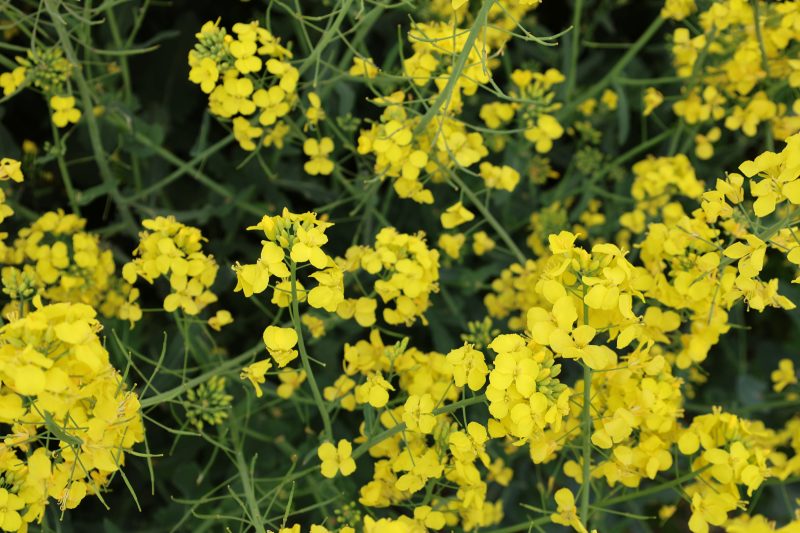 July News Update 2024