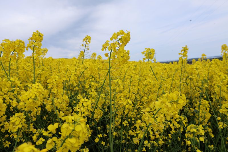 January News Update 2026