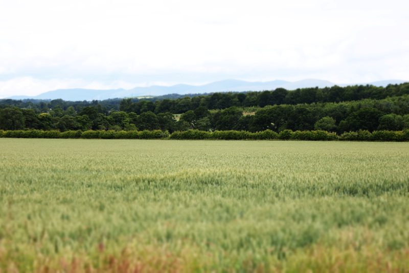 December End of Year Round-up 2025