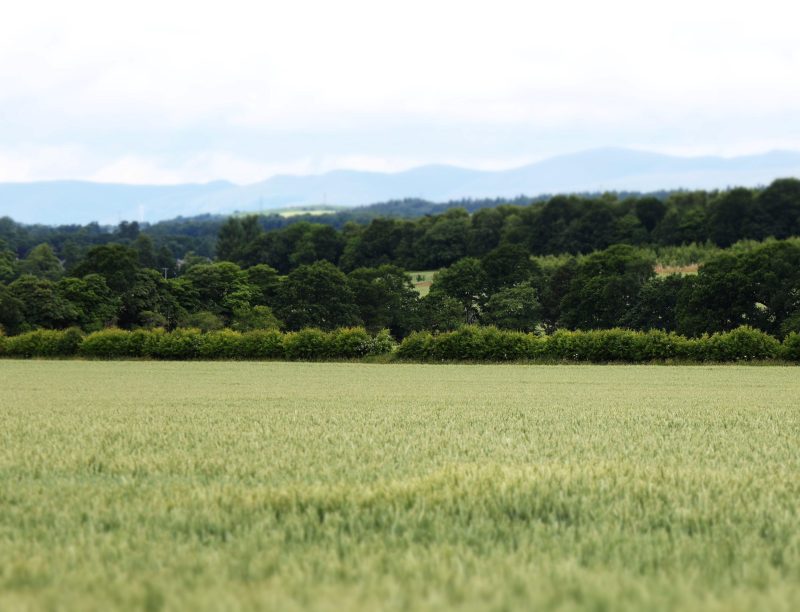 Sept 25 Farm Assurance Review Status