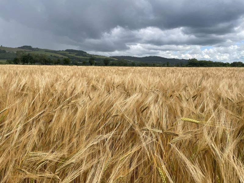 December Technical Update 2025