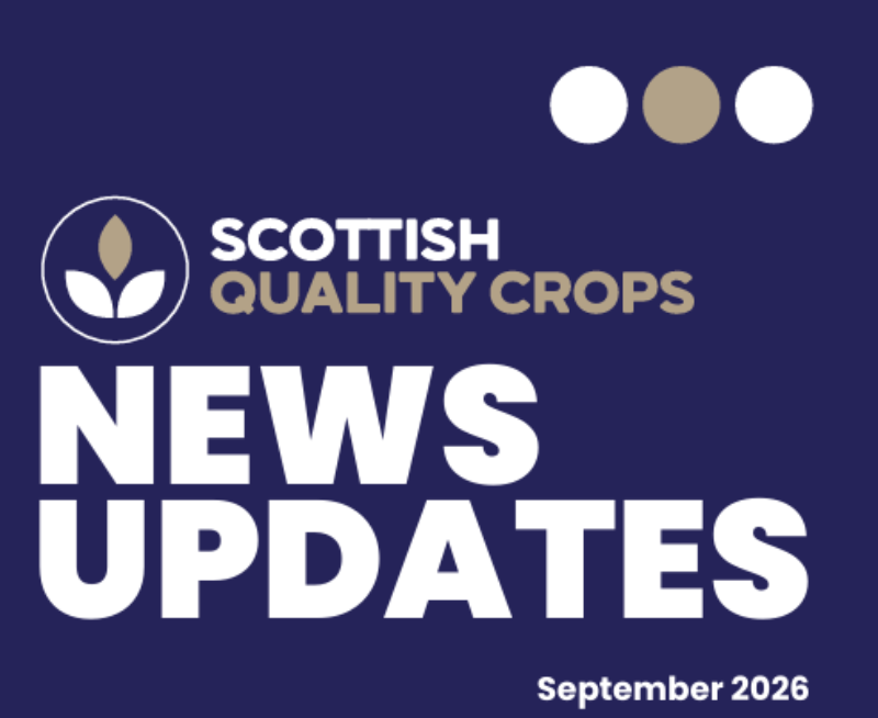 September 2026 enews – Full Standards review update and launch of new video