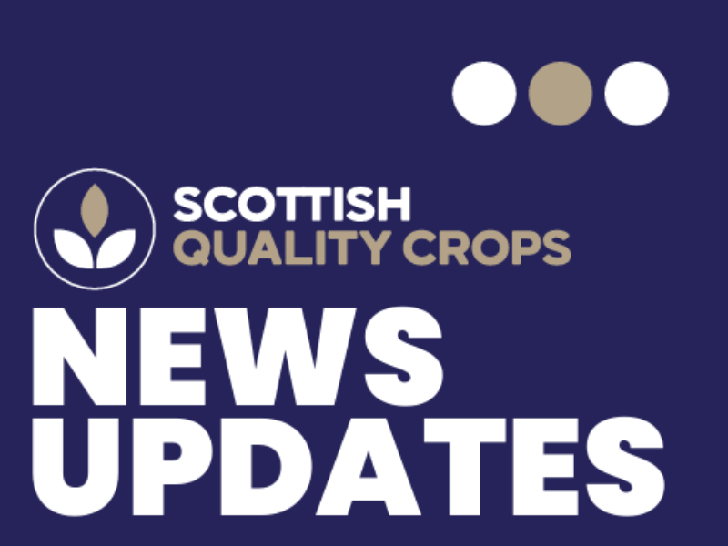 July 2026 SQC enews