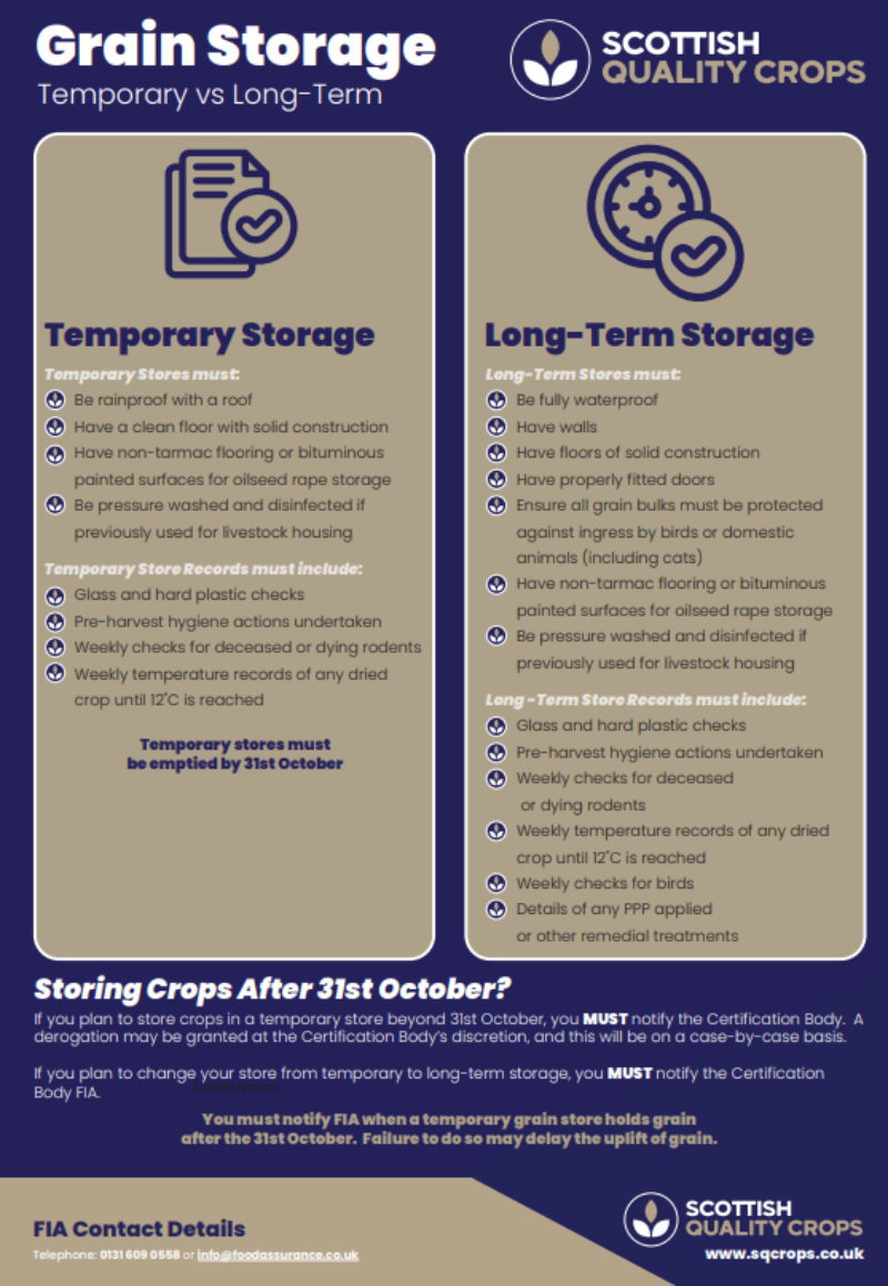 Quick Guide: Temporary vs Long-Term Storage