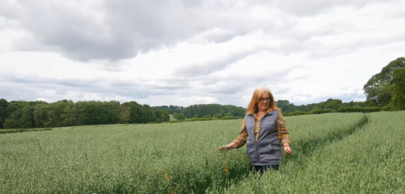 NEW FILM! Why does the supply chain value SQC assurance for its business?